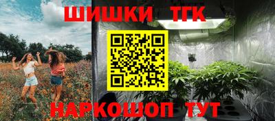 меф Кингисепп