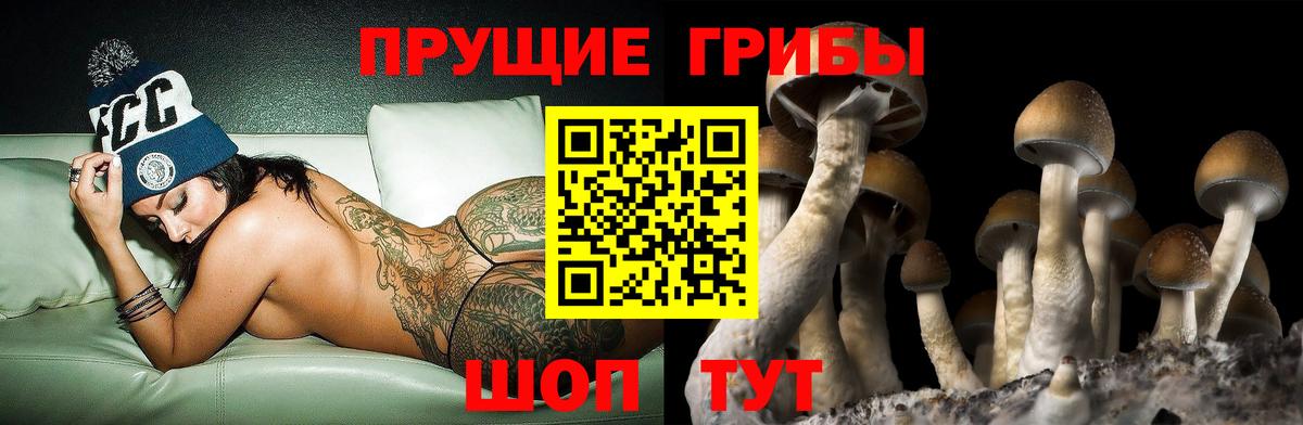 что такое   Галлюциногенные грибы Magic Shrooms  Вход с VPN  Кушва  Псилоцибиновые грибы ЛСД 