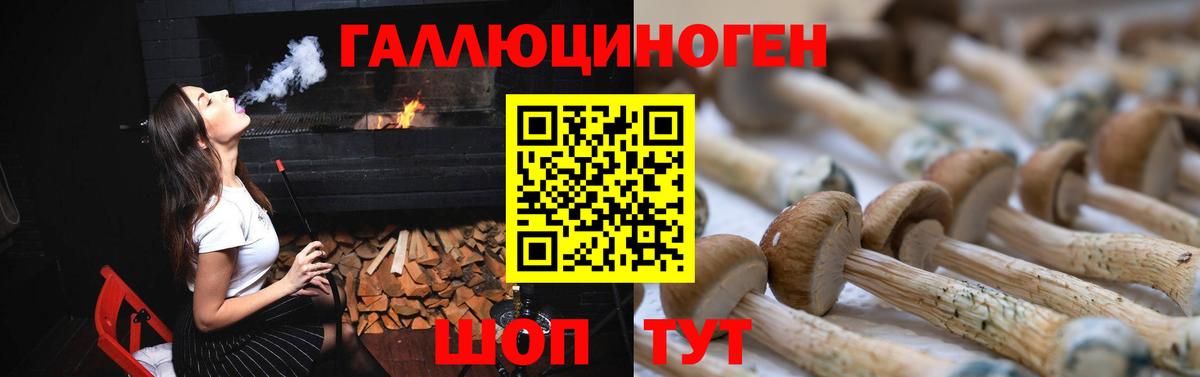 Галлюциногенные грибы Magic Shrooms Кушва